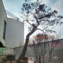 투썸플레이스 대전가수원대로DT점 | (가수원동맛집) 투썸플레이스 분위기카페 케익맛집 내돈내산 솔직후기