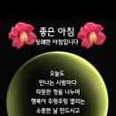 ♤홀로가는_내_삶의길♧ 이미지