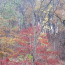 신송약수터 이미지