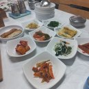 이서맛집 모정식당 동태탕, 자연산 굴밥