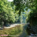 산머루집민박 이미지