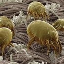 석수동물병원 이미지