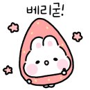 식물하나담다 - 군산시 미장6길 38 | 식물하나담다