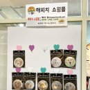 해피치 쇼핑몰