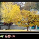 하단초등학교 이미지