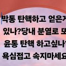 특별감찰관 임명 누군가 겁내고 있나? 이미지