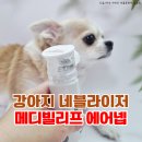 메디빌리프 이미지
