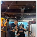 바이브먼트 이미지