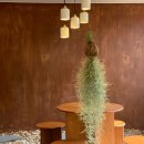 두지리 마을회관 이미지