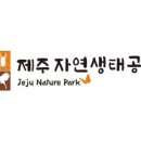 미소 어린이공원 이미지