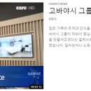 [ 하와이 현지뉴스 :: "KBFD" (한인TV) ] 2024년 4월 11일까지 - 하이쿠 계단 결국 철거 이미지