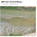 농사로 연 3200 번다는 디씨인 이미지