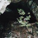 얼음골이야기 이미지