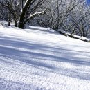 [일요당일]2012년 2월 19일 산불방지기간전 오대산 겨울눈꽃산행 상원사 코스-초보가능 이미지