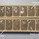 육아맘이 직접 선택한 남양읍이유식, 맘앤맘마새솔점 후기