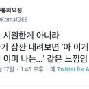 양산 쓴다고 딱히 시원해지진 않음.jpg 이미지