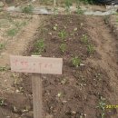 박금순농장 이미지