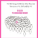핑크빌 이미지