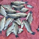 동영낚시터 이미지