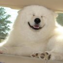 오투존 휘트니스 이미지