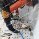 죽교천로 이미지