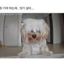 두구두구커피