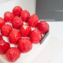 미래학원 이미지