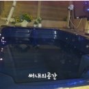 숲속의 하얀별 이미지