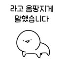 옥수수 동물병원 이미지