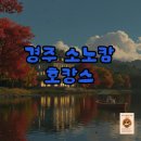 월명실내수영장 | 소노캄 경주 호캉스, 풀앤스파와 조식 완벽 후기!