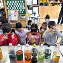 갈담초등학교 이미지