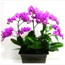 우진카정비쎈타 이미지