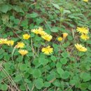 낙동강변로-3 이미지