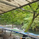 늘소나무산장 이미지