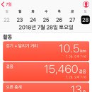 캠프사이트