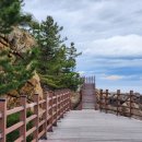 하조대해수욕장 야영장 이미지