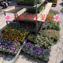 일동농약사 이미지