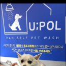 유폴 24시 애견셀프목욕 가오점 이미지