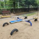 신풍초교 이미지