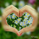 용문농협 주유소 이미지