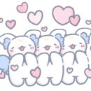 디오빌 애견미용 이미지