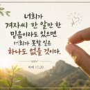 너희가 겨자씨 한 알만 한 믿음이라도 있으면 너희가 못할 일은 하나도 없을 것이다. 이미지