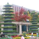 동구꽃백화점 이미지