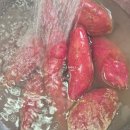 가마골농장 이미지