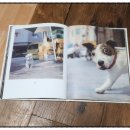 완산-142 이미지