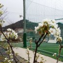 신대순천풋살구장