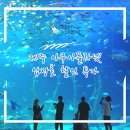 아쿠아모텔 | 한화 아쿠아플라넷 제주 입장료 할인 특가 ! 제주 아쿠아리움 가격 할인 총정리