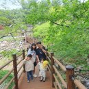 축령산 코지인 이미지