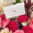 가양3동주민센터 | 가양동꽃배달 투투플레르 축하화환 결혼식화환 근조화환