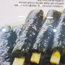 꼬마김밥돈가스 이미지